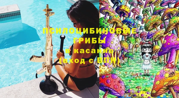 индика Бугульма